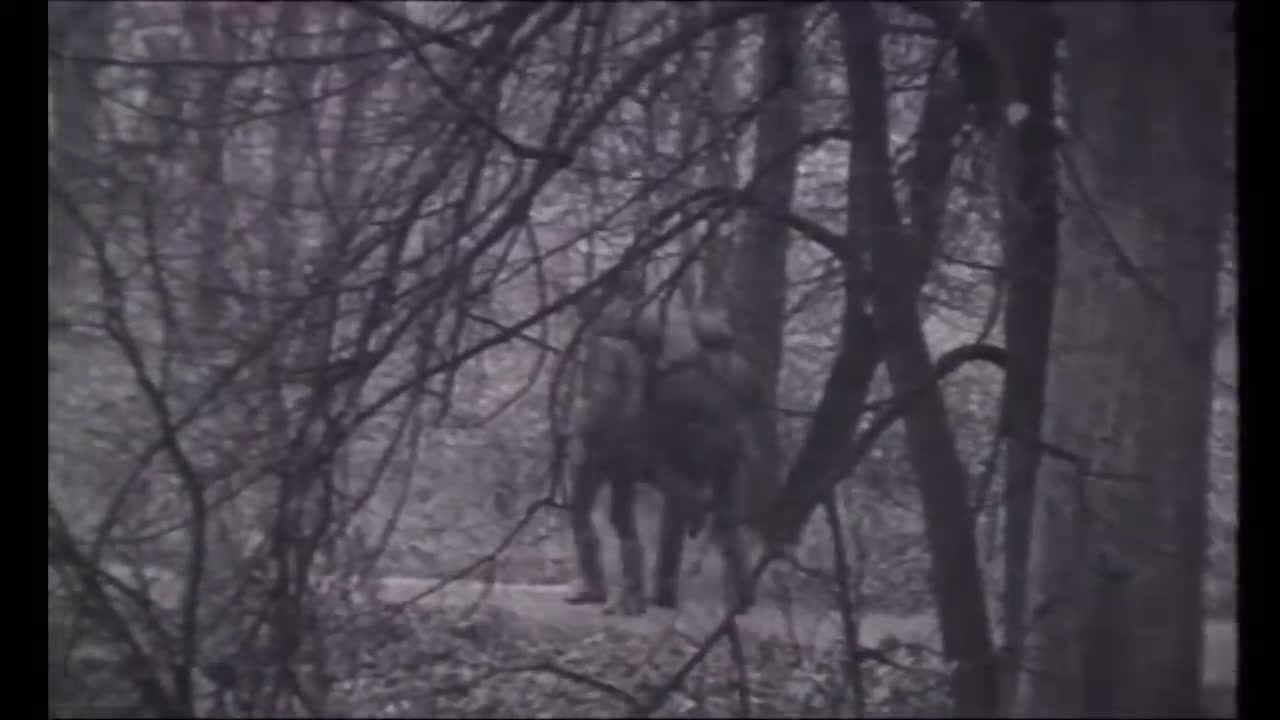 Кадр из клипа «Что такое осень»